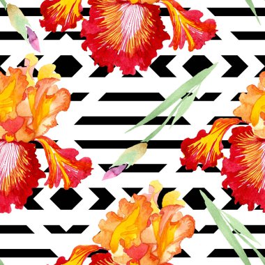 Kırmızı Bold karşılaşma iris çiçek botanik çiçekler. Suluboya arka plan illüstrasyon seti. Kesintisiz arka plan deseni.