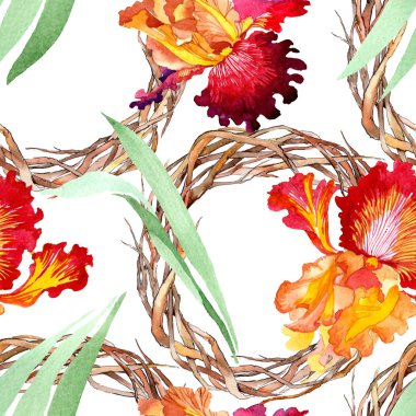 Kırmızı Bold karşılaşma iris çiçek botanik çiçekler. Suluboya arka plan illüstrasyon seti. Kesintisiz arka plan deseni.