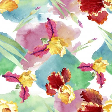 Kırmızı Bold karşılaşma iris çiçek botanik çiçekler. Suluboya arka plan illüstrasyon seti. Kesintisiz arka plan deseni.