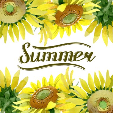 Ayçiçeği çiçek botanik çiçekleri. Suluboya arka plan illüstrasyon seti. Çerçeve kenarlık süs karesi.
