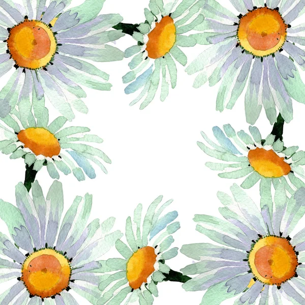 Stor vit kamomill blommiga botaniska blommor. Akvarell bakgrund illustration uppsättning. Ram kant prydnad kvadrat. — Stockfoto