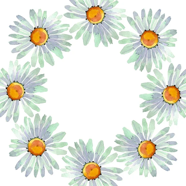 Grandi fiori botanici floreali di camomilla bianca. Acquerello sfondo illustrazione set. Quadrato ornamento bordo cornice . — Foto Stock