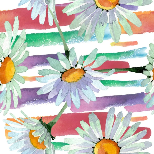 Big white chamomile floral botanical flowers. Watercolor background illustration set. Seamless background pattern. — Stock Photo, Image