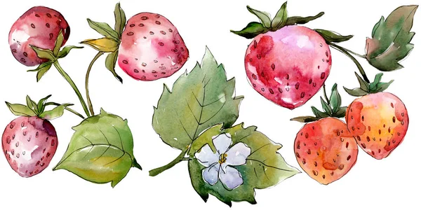 Aardbei gezond voedsel. Aquarel achtergrond illustratie instellen. Geïsoleerde Berry illustratie element. — Stockfoto