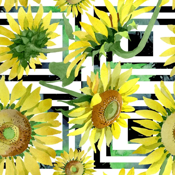 Fiori botanici floreali di girasole. Acquerello sfondo illustrazione set. Modello di sfondo senza soluzione di continuità . — Foto Stock