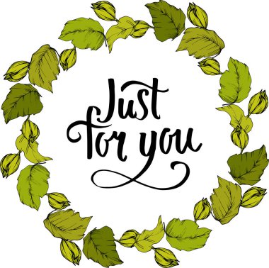 Vektör Ayçiçeği çiçek botanik çiçek bırakır. Siyah ve yeşil oyulmuş mürekkep sanatı. Çerçeve kenarlık süs karesi.