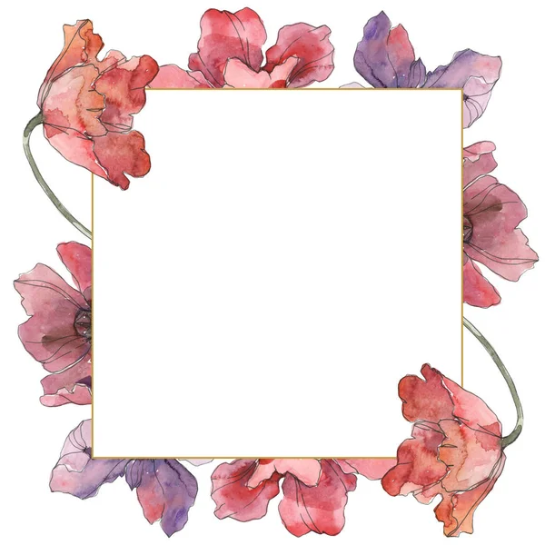 Flores botânicas florais de papoula vermelha e roxa. Conjunto de ilustração de fundo aquarela. Quadro borda ornamento quadrado . — Fotografia de Stock