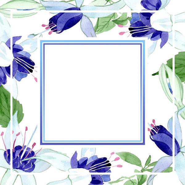 Modrý fuchsiová květinové botanické květy. Vodný obrázek pozadí-barevný. Orámovaná hranatá hranice. — Stock fotografie