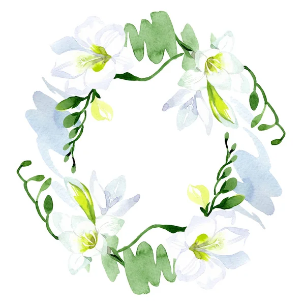 Flores botánicas florales de freesia blanca. Conjunto de ilustración de fondo acuarela. Marco borde ornamento cuadrado . — Foto de Stock