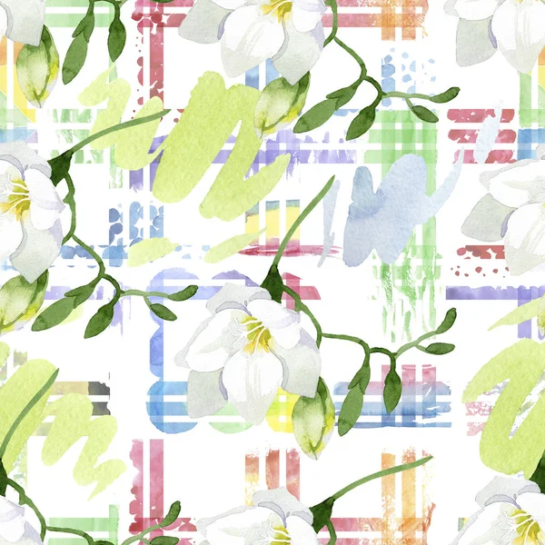 Vita fresia blommiga botaniska blommor. Akvarell bakgrund illustration set. Sömlös bakgrund mönster. — Stockfoto