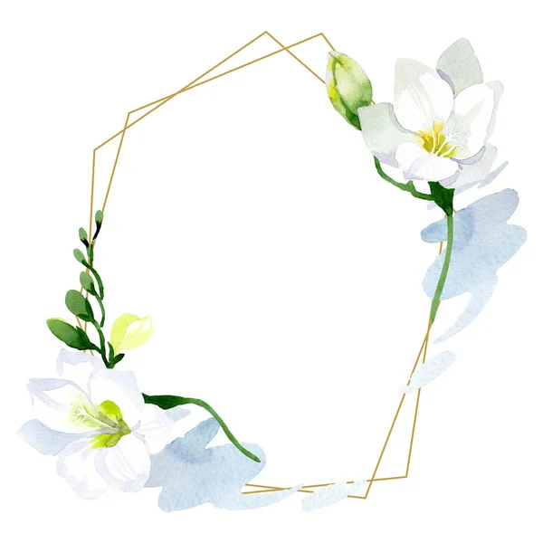 Fleurs botaniques florales freesia blanches. Ensemble d'illustration de fond aquarelle. Cadre bordure ornement carré . — Photo
