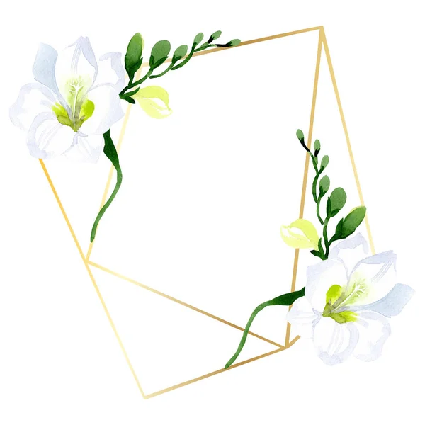 Branco freesia flores botânicas florais. Conjunto de ilustração de fundo aquarela. Quadro borda ornamento quadrado . — Fotografia de Stock