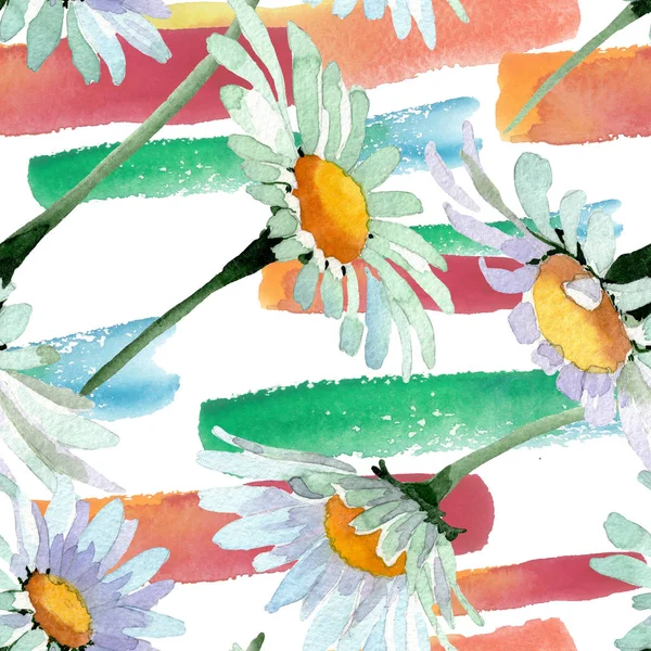 Duży biały rumianek kwiatowy kwiatów botanicznych. Akwarela zestaw ilustracji tła. Płynny wzór tła. — Zdjęcie stockowe