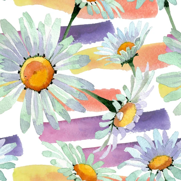 Big white chamomile floral botanical flowers. Watercolor background illustration set. Seamless background pattern. — Stock Photo, Image