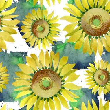 Ayçiçeği çiçek botanik çiçekleri. Suluboya arka plan illüstrasyon seti. Kesintisiz arka plan deseni.
