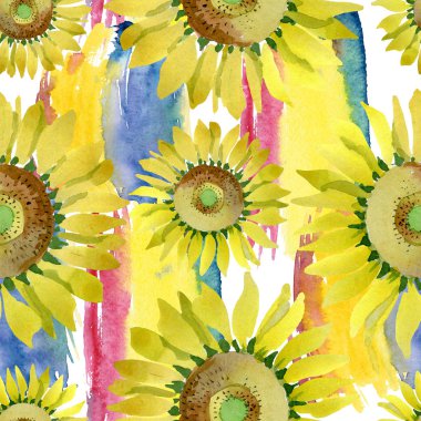 Ayçiçeği çiçek botanik çiçekleri. Suluboya arka plan illüstrasyon seti. Kesintisiz arka plan deseni.