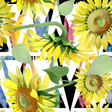 Ayçiçeği çiçek botanik çiçekleri. Suluboya arka plan illüstrasyon seti. Kesintisiz arka plan deseni.