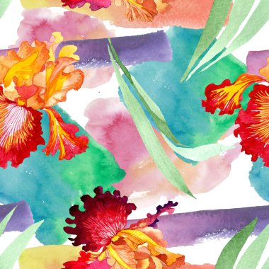 Kırmızı Bold karşılaşma iris çiçek botanik çiçekler. Suluboya arka plan illüstrasyon seti. Kesintisiz arka plan deseni.