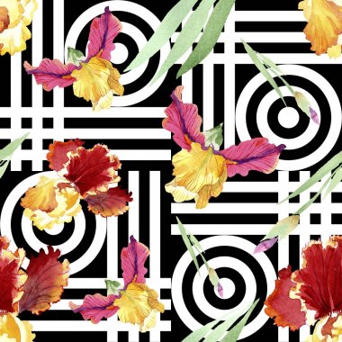 Kırmızı Bold karşılaşma iris çiçek botanik çiçekler. Suluboya arka plan illüstrasyon seti. Kesintisiz arka plan deseni.