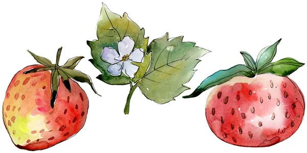 Jordgubbs hälsosam mat. Akvarell bakgrund illustration uppsättning. Isolerad bär illustration element. — Stockfoto