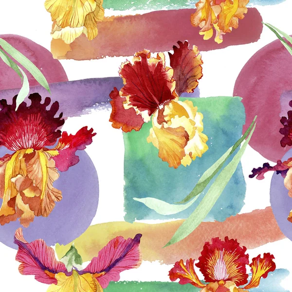 Röd fet möter Iris blommor botaniska blommor. Akvarell bakgrund illustration uppsättning. Sömlöst bakgrundsmönster. — Stockfoto