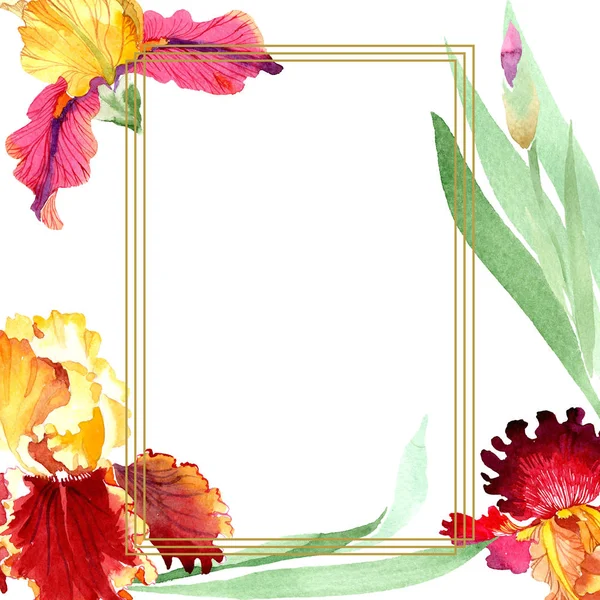 Red Bold rencontre iris fleurs botaniques florales. Ensemble d'illustration de fond aquarelle. Cadre bordure ornement carré . — Photo