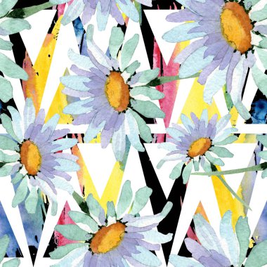 Büyük beyaz papatya çiçek botanik çiçekler. Suluboya arka plan illüstrasyon seti. Kesintisiz arka plan deseni.