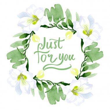 Beyaz frezya çiçekli botanik çiçekleri. Suluboya arkaplan çizimi. Çerçeve kenar süsü kare.