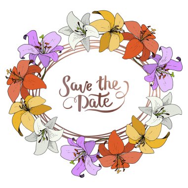 Vektör Lily botanik çiçek. Vahşi bahar yaprak izole kır çiçeği. Oyulmuş mürekkep sanat. Çerçeve kenarlığı süsleme Meydanı.