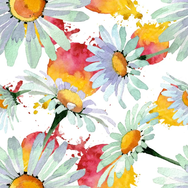 Big white chamomile floral botanical flowers. Watercolor background illustration set. Seamless background pattern. — Stock Photo, Image