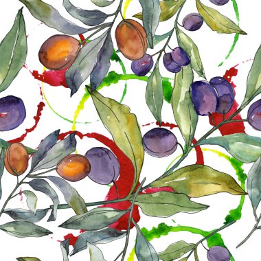 Siyah ve yeşil meyveli zeytin dalı. Suluboya arka plan illüstrasyon seti. Kesintisiz arka plan deseni.