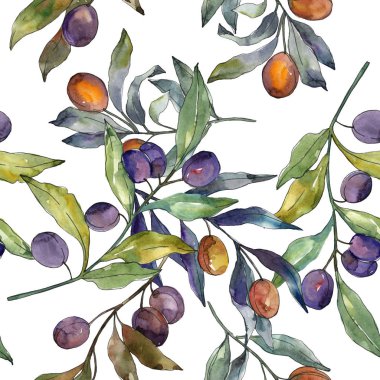 Siyah ve yeşil meyveli zeytin dalı. Suluboya arka plan illüstrasyon seti. Kesintisiz arka plan deseni.