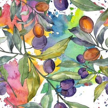 Siyah ve yeşil meyveli zeytin dalı. Suluboya arka plan illüstrasyon seti. Kesintisiz arka plan deseni.