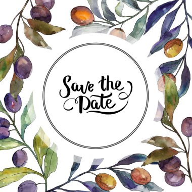 Siyah ve yeşil meyveli zeytin dalı. Suluboya arka plan illüstrasyon seti. Çerçeve kenarlık süs karesi.