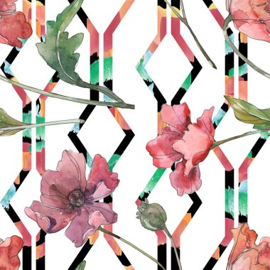 Kırmızı ve mor haşhaş çiçek botanik çiçekler. Suluboya arka plan illüstrasyon seti. Kesintisiz arka plan deseni.