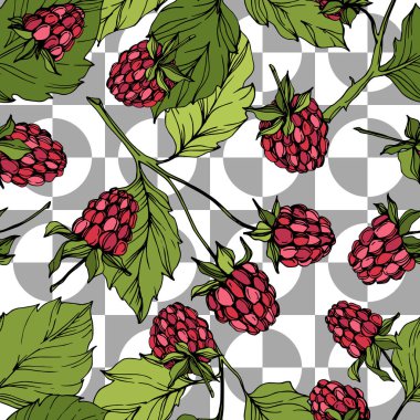 Vektör Ahududu sağlıklı gıda izole. Kırmızı ve yeşil kazınmış mürekkep sanatı. Kesintisiz arka plan deseni.