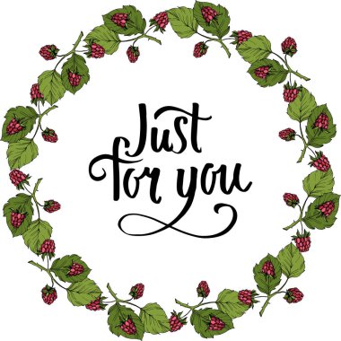 Vektör Ahududu sağlıklı gıda izole. Kırmızı ve yeşil kazınmış mürekkep sanatı. Çerçeve kenarlık süs karesi.