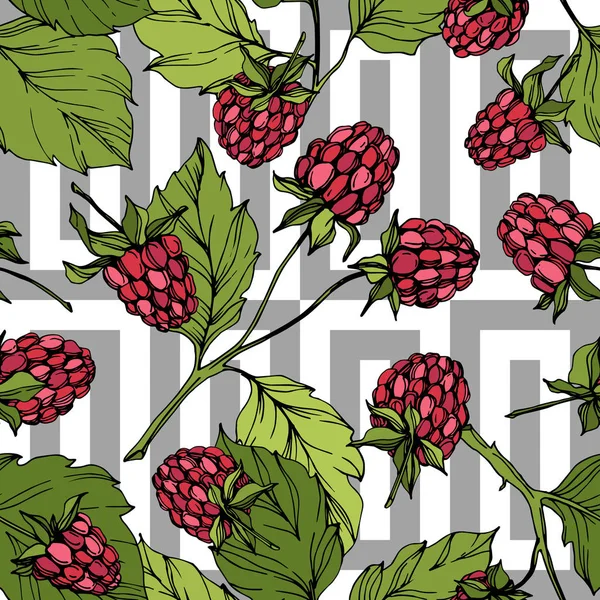 Vector Raspberry alimentos saludables aislados. Tinta grabada roja y verde. Patrón de fondo sin costuras . — Vector de stock