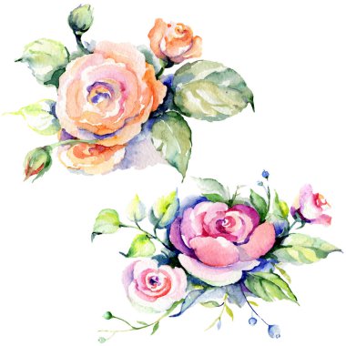 Pembe gül buketi loral botanik çiçekler. Suluboya arka plan seti. İzole buketleri illüstrasyon elemanı.