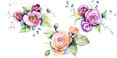 Pembe gül buketi loral botanik çiçekler. Suluboya arka plan seti. İzole buketleri illüstrasyon elemanı.