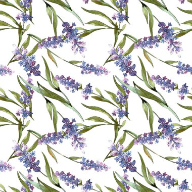 Mavi mor lavanta çiçek botanik çiçekler. Suluboya arka plan illüstrasyon seti. Kesintisiz arka plan deseni.