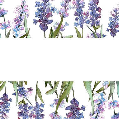 Mavi mor lavanta çiçek botanik çiçekler. Suluboya arka plan illüstrasyon seti. Çerçeve kenarlık süs karesi.