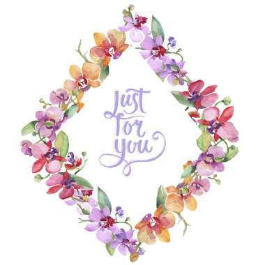 Orkide buketleri çiçek botanik çiçekler. Suluboya arka plan illüstrasyon seti. Çerçeve kenarlık süs karesi.