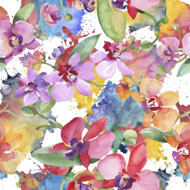 Orkide buketleri çiçek botanik çiçekler. Suluboya arka plan illüstrasyon seti. Kesintisiz arka plan deseni.