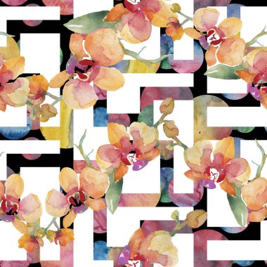 Orkide buketleri çiçek botanik çiçekler. Suluboya arka plan illüstrasyon seti. Kesintisiz arka plan deseni.