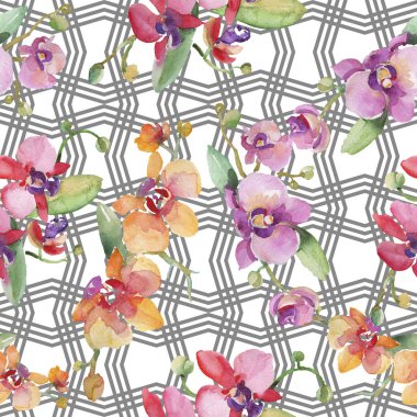 Orkide buketleri çiçek botanik çiçekler. Suluboya arka plan illüstrasyon seti. Kesintisiz arka plan deseni.