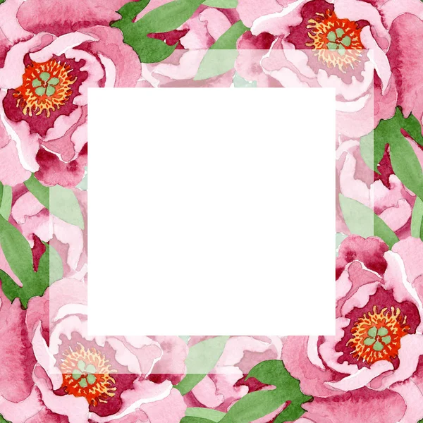 Pedônia vermelha escura flores botânicas florais. Conjunto de ilustração de fundo aquarela. Quadro borda ornamento quadrado . — Fotografia de Stock