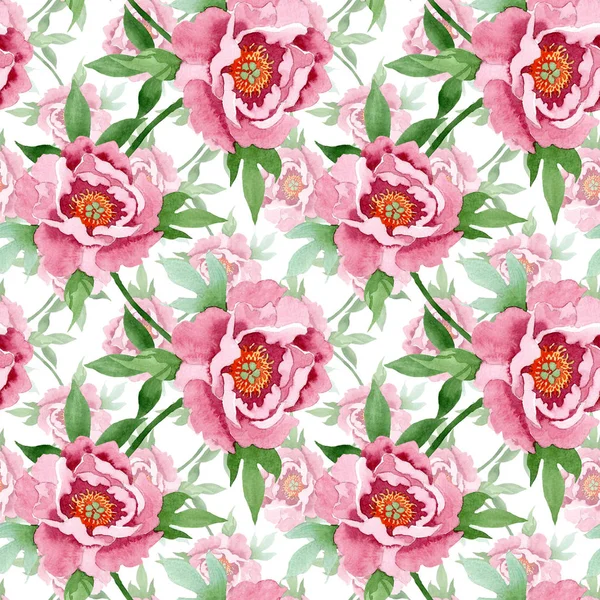 Dark red peony floral botanical flowers. Watercolor background illustration set. Seamless background pattern.
