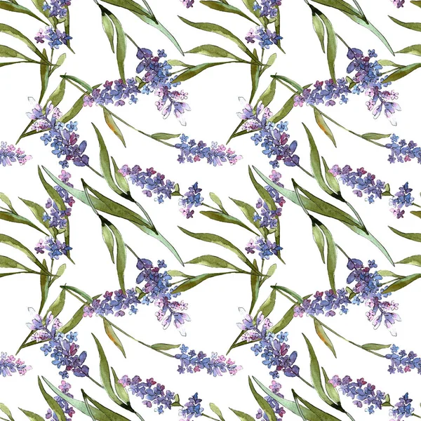 Niebieski fioletowy lawendy kwiatowy kwiatów botanicznych. Akwarela zestaw ilustracji tła. Płynny wzór tła. — Zdjęcie stockowe