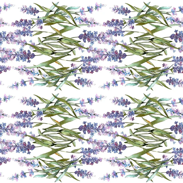 Blau violetten Lavendel Blumen botanischen Blumen. Aquarell Hintergrundillustration Set. nahtloses Hintergrundmuster. — Stockfoto